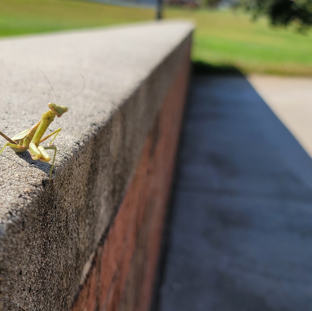 Meet your Posher, Fernando m